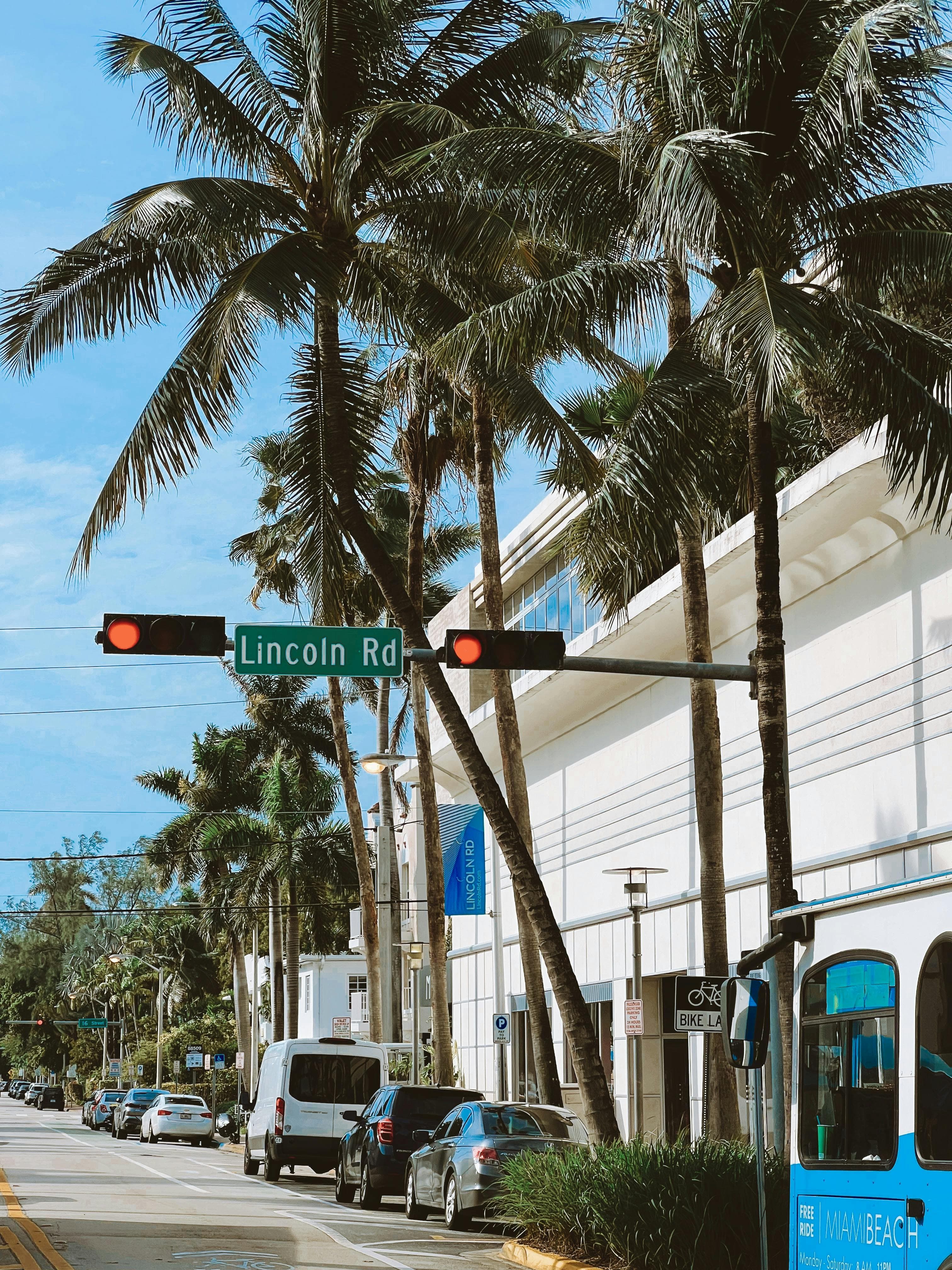 Palm-lined street in Miami Beach